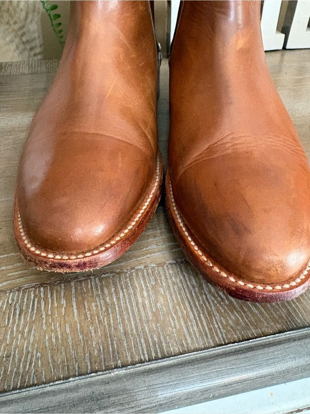 Nisolo chelsea boot